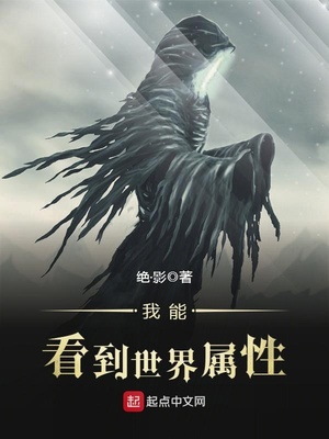 我能看到世界属性 小说