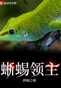 蜥蜴领主小说无广告