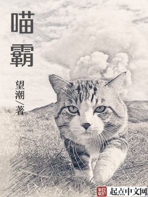 喵霸小说免费阅读