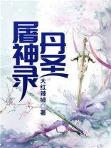 丹圣屠神录 小说