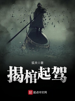 揭棺起驾上一本书