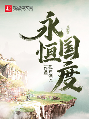 永恒国度小说