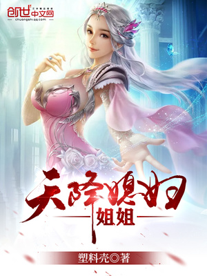 天降仙子姐姐 塑料壳