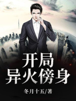 开局从异火开始的小说