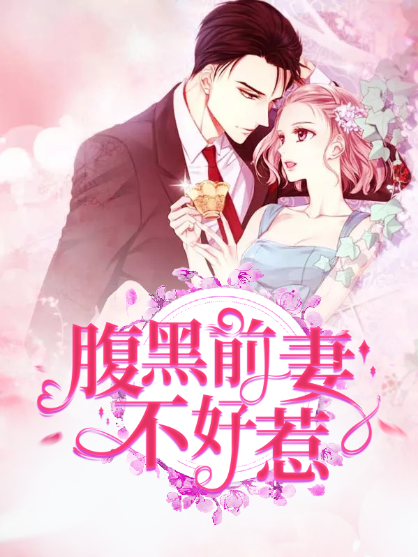 腹黑前妻不好惹小说