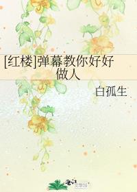 [红楼]弹幕教你好好做人