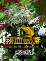 铁血金雕岩溶