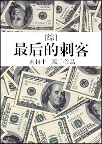 综最后的刺客txt百度云