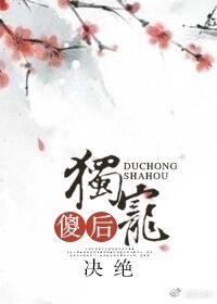 小说独宠傻后