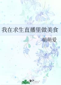 我在求生直播里做美食 小说