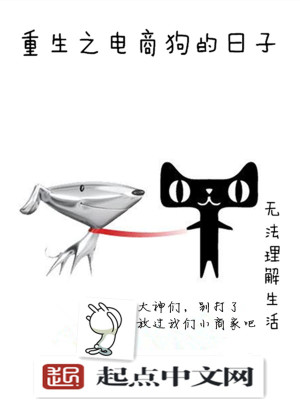 重生 电商
