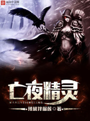 堕夜精灵