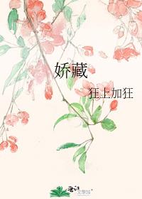 娇藏 作者:狂上加狂