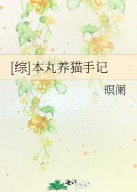 综本丸养猫手记全文免费阅读