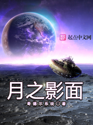 月之影面哥德尔系统