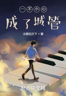 一不小心成了城管 冷眼侃天下