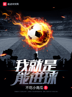 小说,我就是能进球