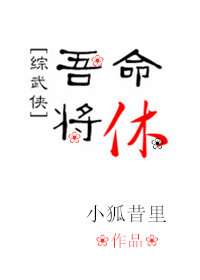 综武侠吾命将休格格党