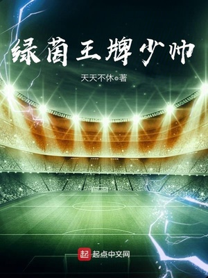 绿茵王牌少帅笔趣阁