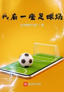 一座足球场多少钱