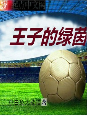 王子的路