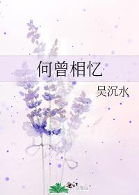 何曾相忆烽火路(全2册) 小说