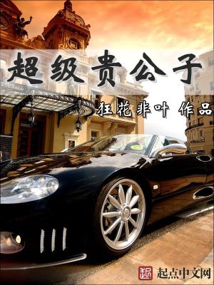 贵公子的生活
