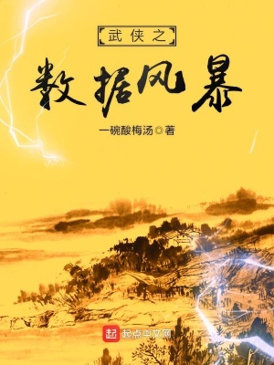 武侠之数据风暴 小说