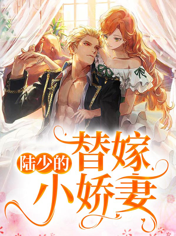 陆少的替嫁小娇妻男主的前任