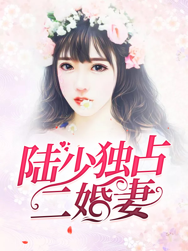 陆少的二婚妻子