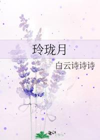 玲珑月简介