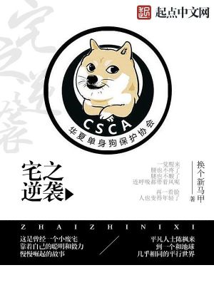 带系统的文娱小说