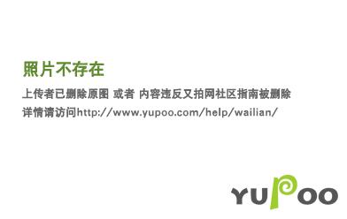 我的道侣天下第一TXT百度云