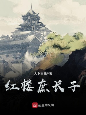 红楼庶长子百科
