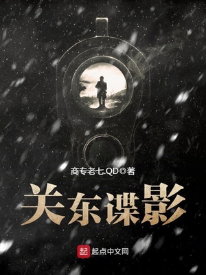 关东谍影免费下载全本