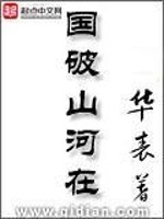 国破山河在城春草木深是谁写的诗