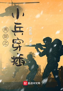 亮剑之小兵穿插巴小顿