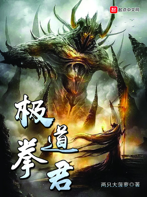极道拳君TXT小说下载