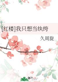 红楼我只想当纨绔笔趣阁