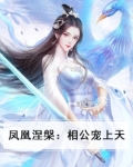 凤凰涅槃：相公宠上天