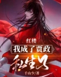红楼:我成了贾政私生子