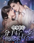 替身影后，分手后宁少他跪求复合