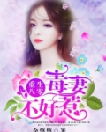 重生八零：毒妻不好惹
