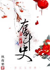 红楼丫鬟奋斗史