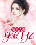 陆夫人她身家上亿