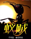 蚁贼