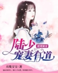 暖婚蜜爱：陆少宠妻有道