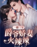 一胎三宝:爵爷娇妻火辣辣
