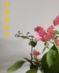 来自旧世界