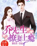 乔先生,撩妻上瘾!